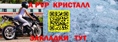 мет Кингисепп
