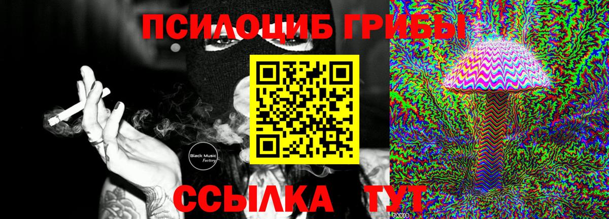 Псилоцибиновые грибы Psilocybe  Галлюциногенные грибы Psilocybine cubensis  Вход с VPN  Кузнецк 