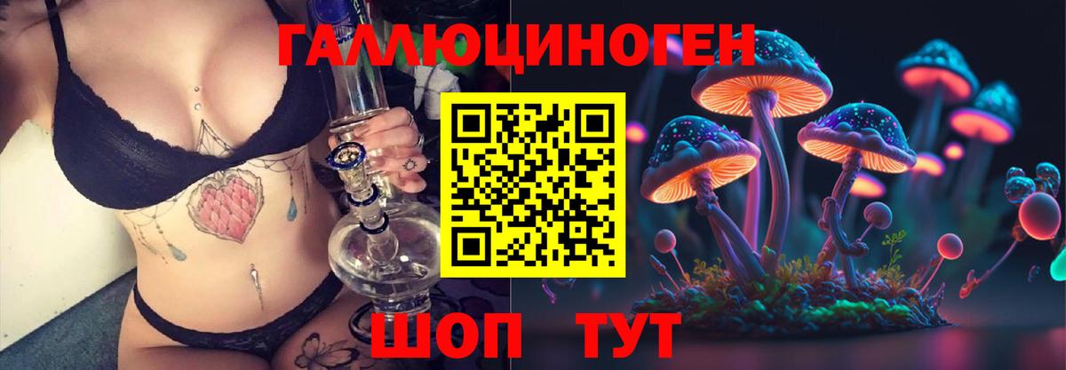 Псилоцибиновые грибы GOLDEN TEACHER Кузнецк